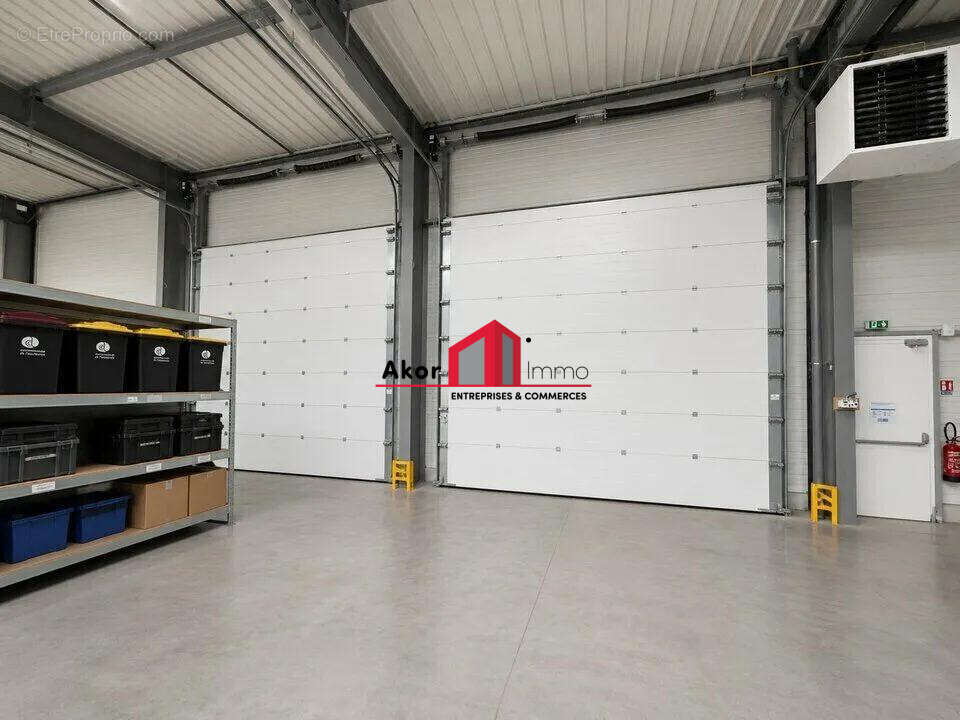 Commerce 982 m² à Moneteau  - photo 7