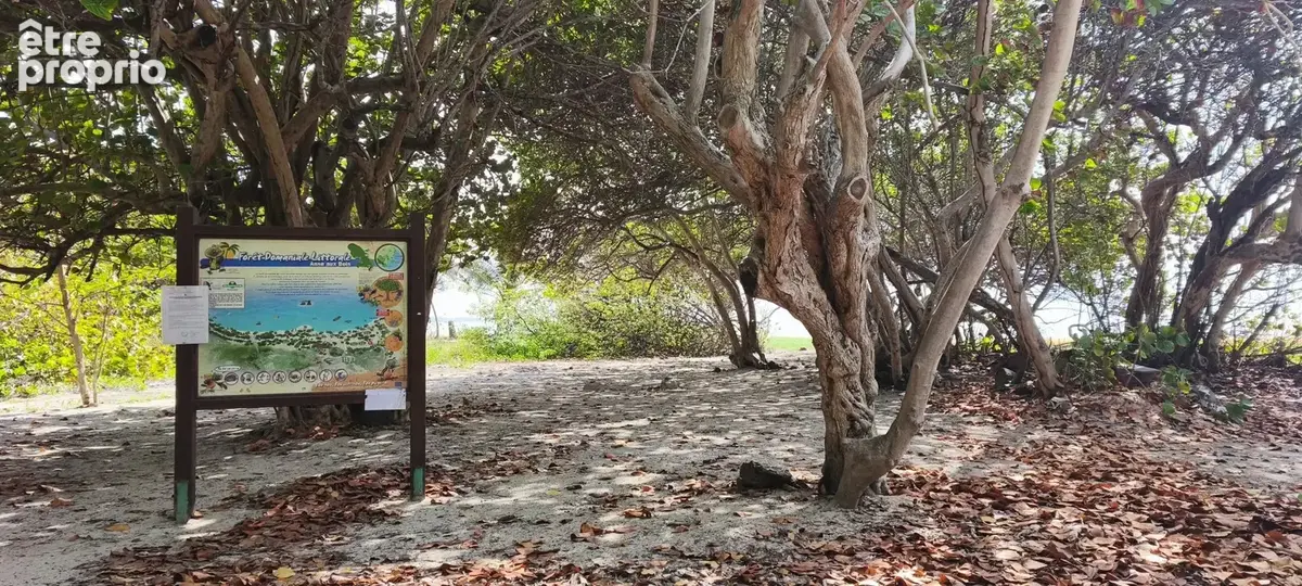 Environnement naturel à proximité immédiate