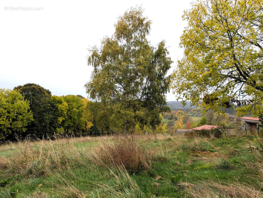 Maison à LA CHAISE-DIEU