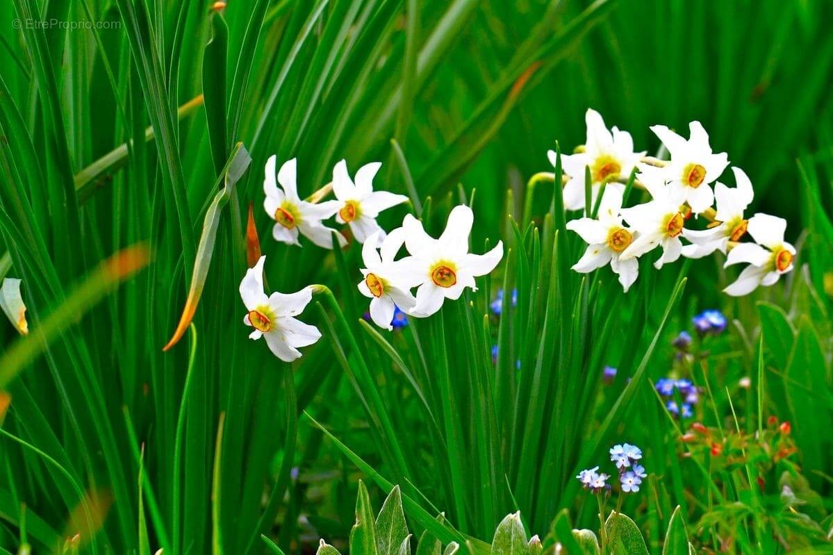 Terrain à LA ROCHE-SUR-YON