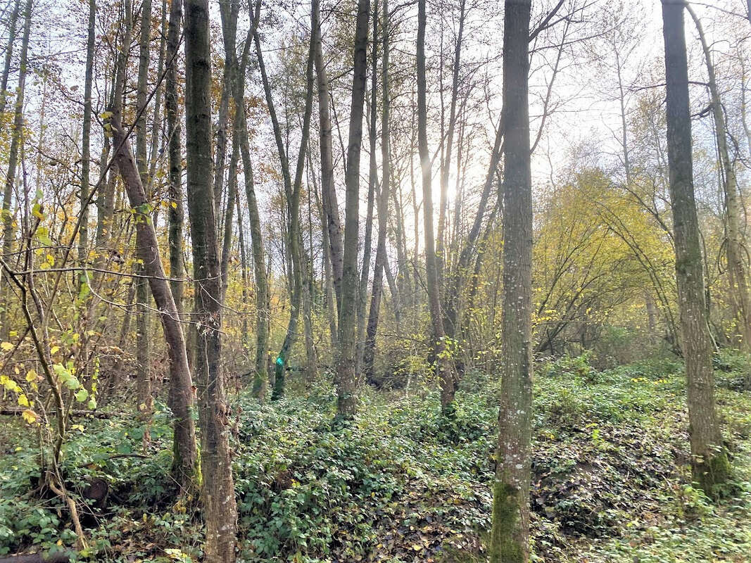 Terrain à LAON