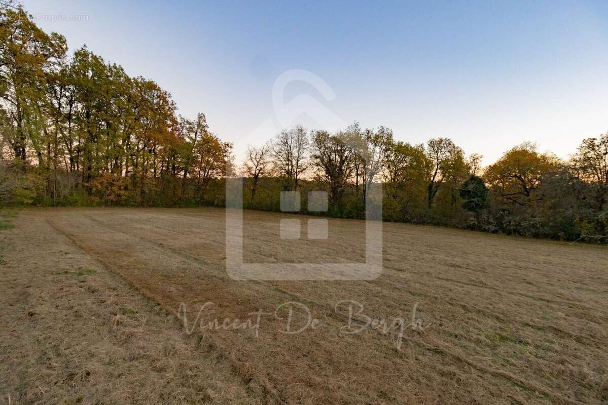 Terrain à DOMME