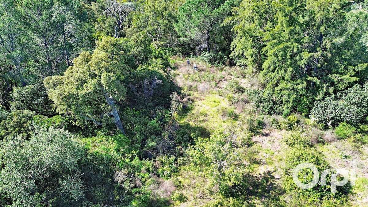 Terrain à PORTO-VECCHIO