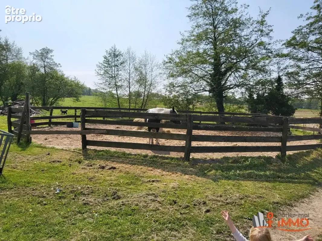 Propriété équestre avec chambres d'hôtes sur 4,3 hectares av - photo 7