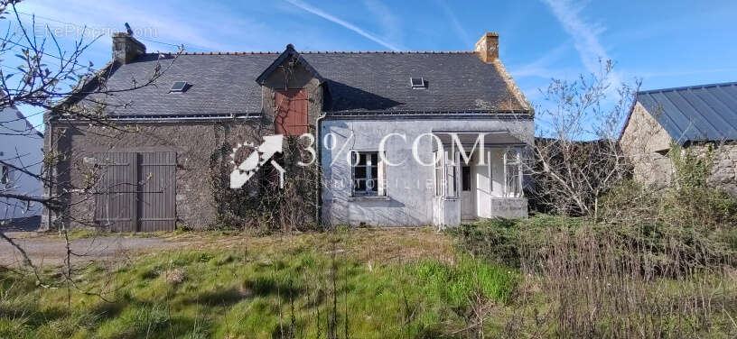 Maison à BELZ