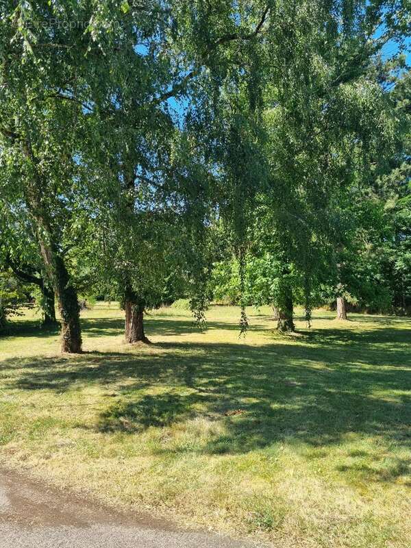 Maison à CHATEAUNEUF-SUR-CHER
