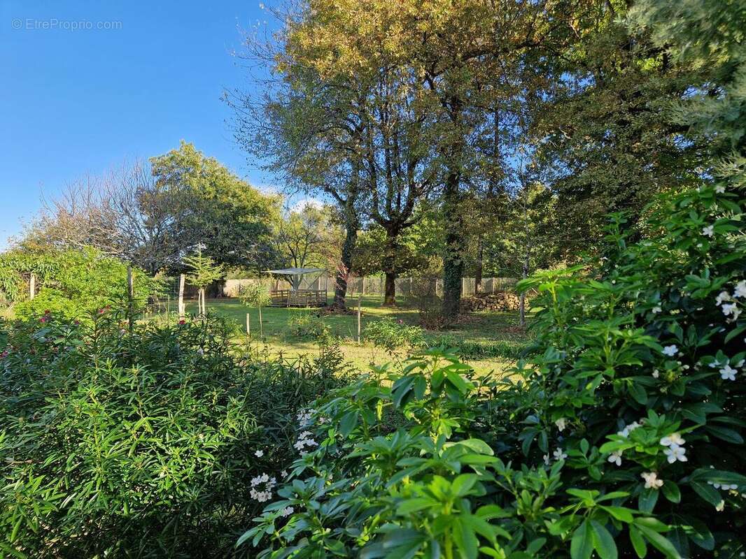 20251016153555 - Maison à BANEUIL