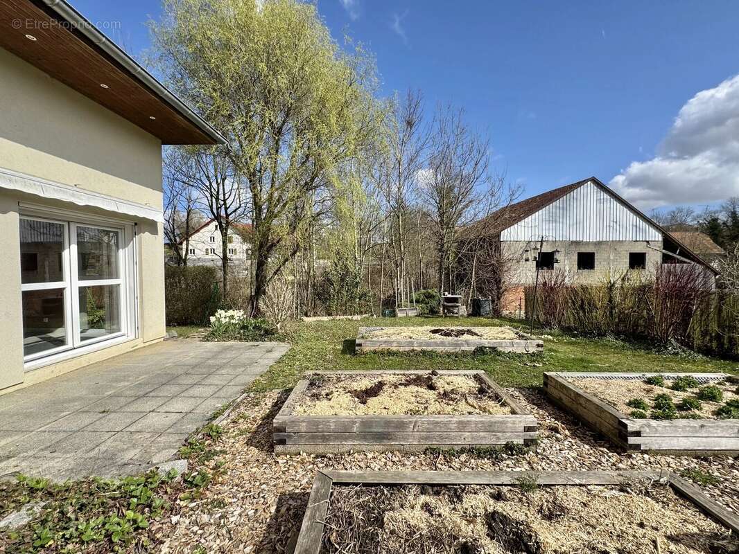 Appartement à ZAESSINGUE
