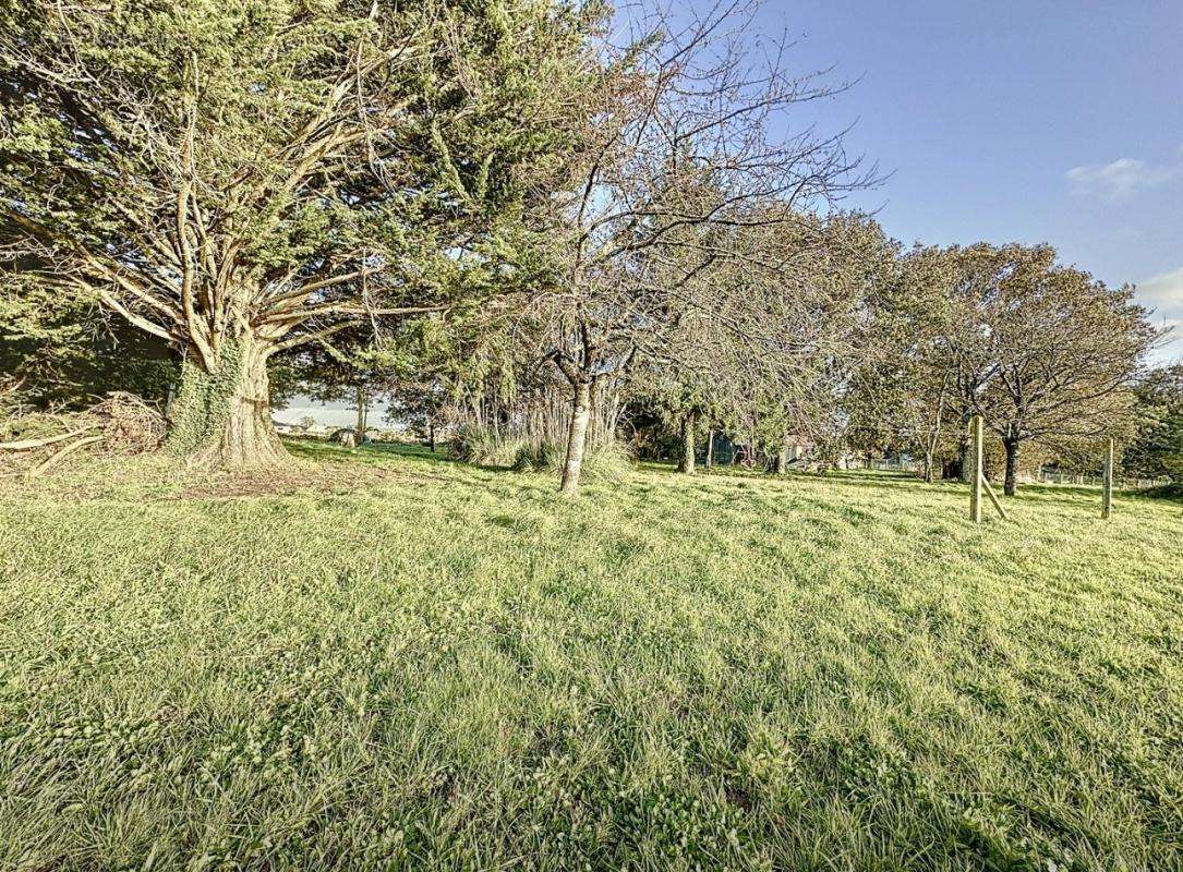 Maison à LA CHAPELLE-DE-BRAIN