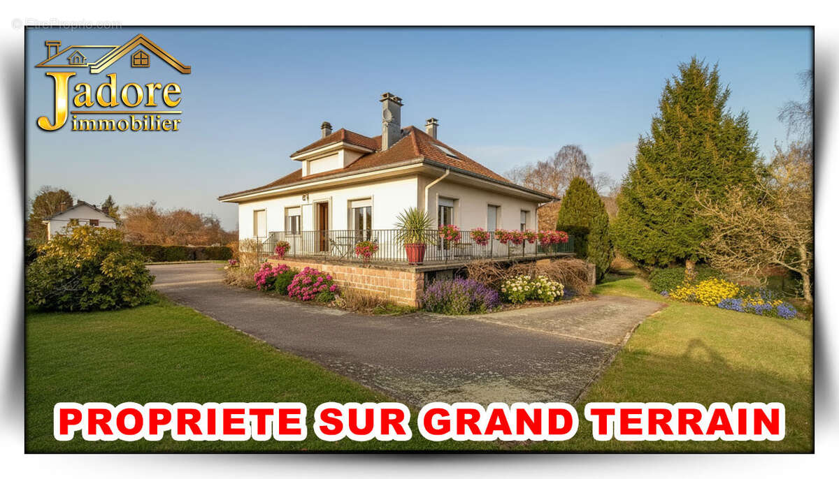 Grande maison - photo 2
