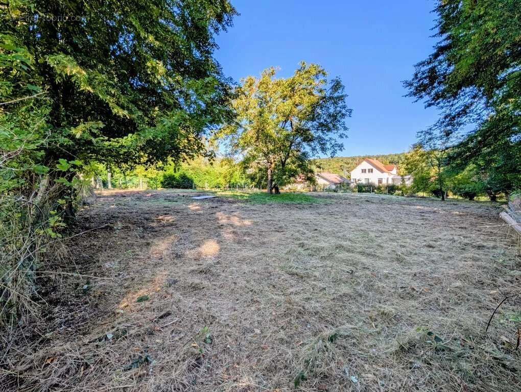 Terrain à DAMPIERRE-EN-YVELINES