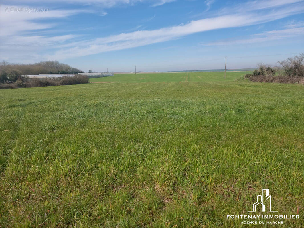 Terrain à MONTREUIL