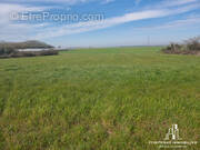 Terrain à MONTREUIL