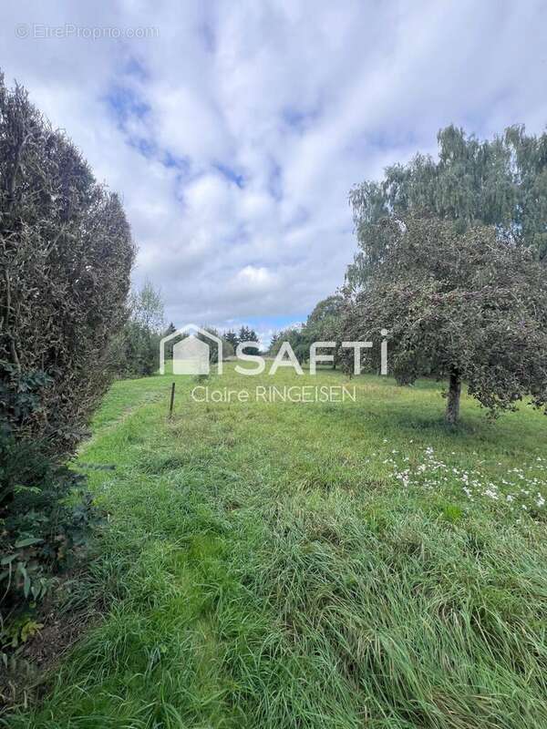 Photo 8 - Maison à PUTTELANGE-AUX-LACS