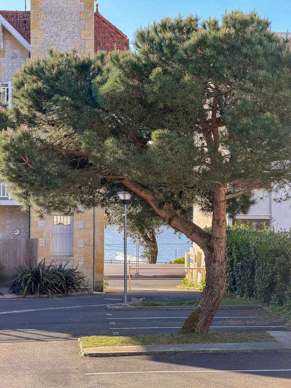 Appartement à SAINT-PALAIS-SUR-MER
