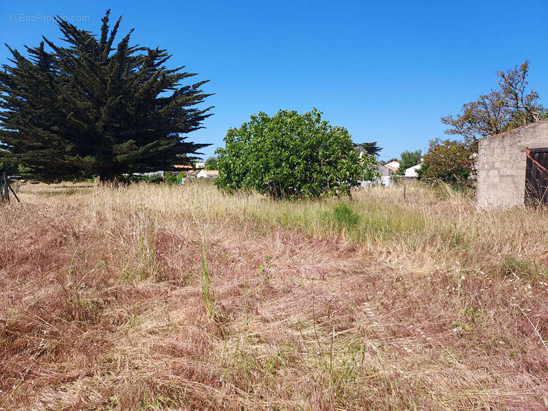 Terrain à SAINT-PIERRE-D&#039;OLERON