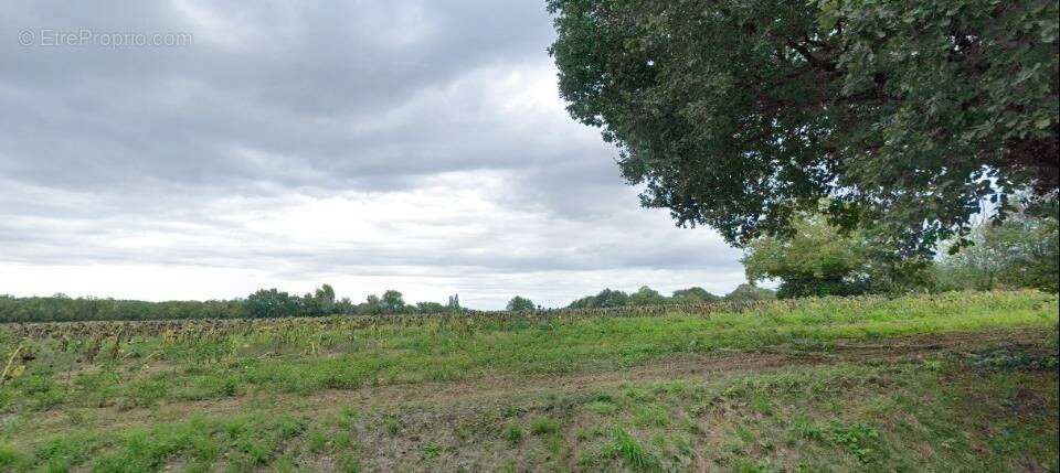 Terrain à SEGOUFIELLE