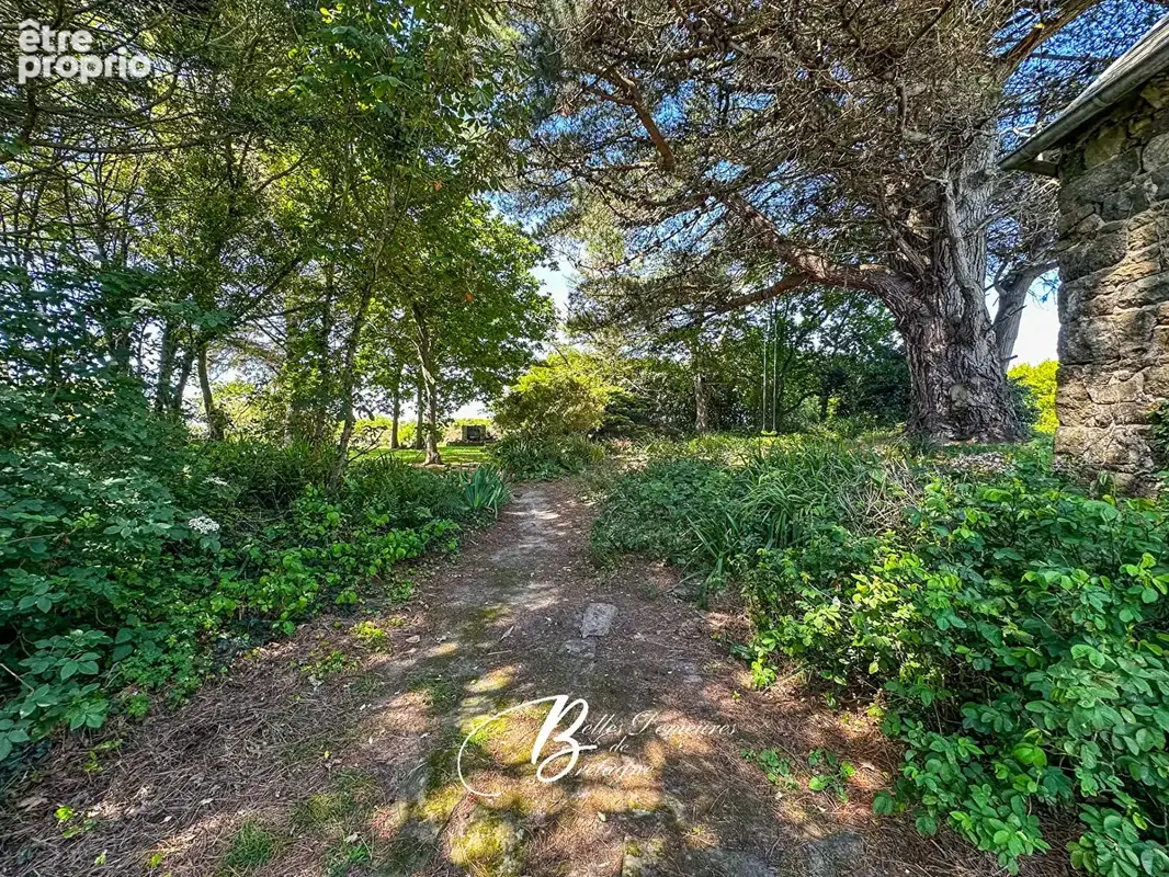A vendre propriété de charme sur le littoral Côtes d'Armor - photo 11