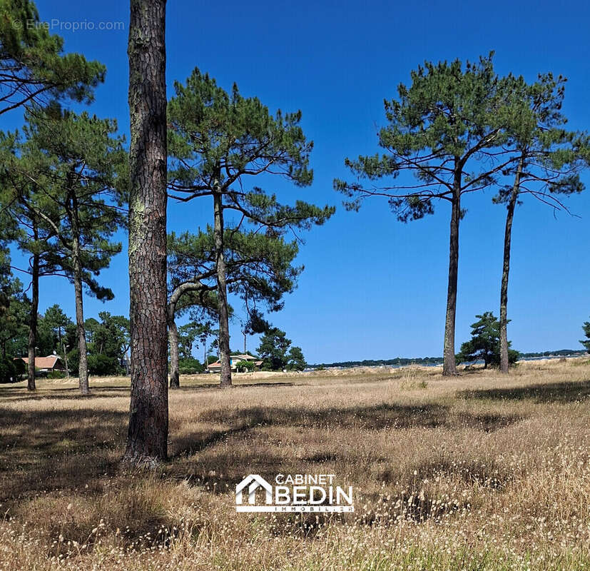 Appartement à LEGE-CAP-FERRET