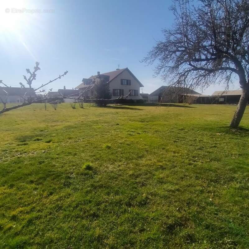 Maison à COURCELLES-LES-SEMUR