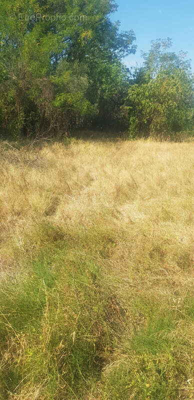 Terrain à SAINT-ZACHARIE