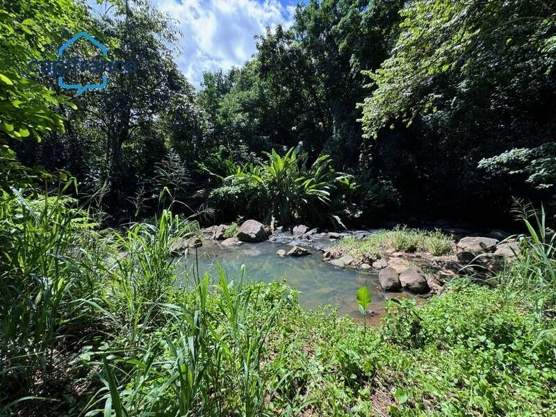 Terrain à SAINTE-ROSE