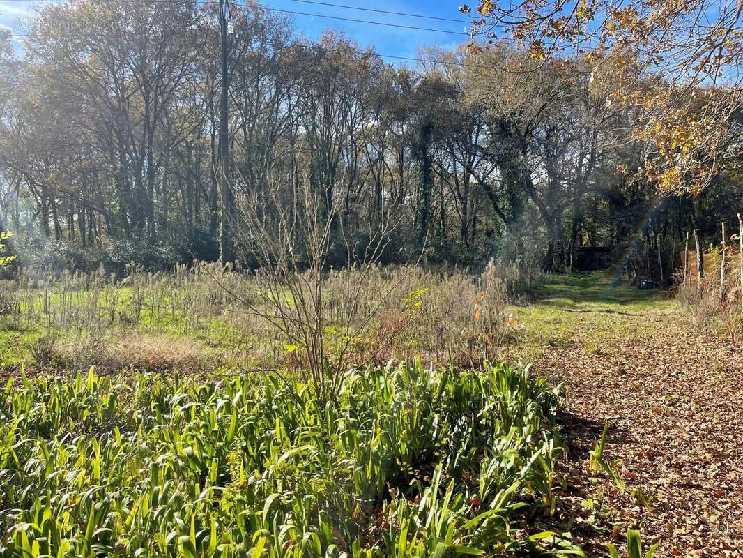 Terrain à SAINT-SELVE