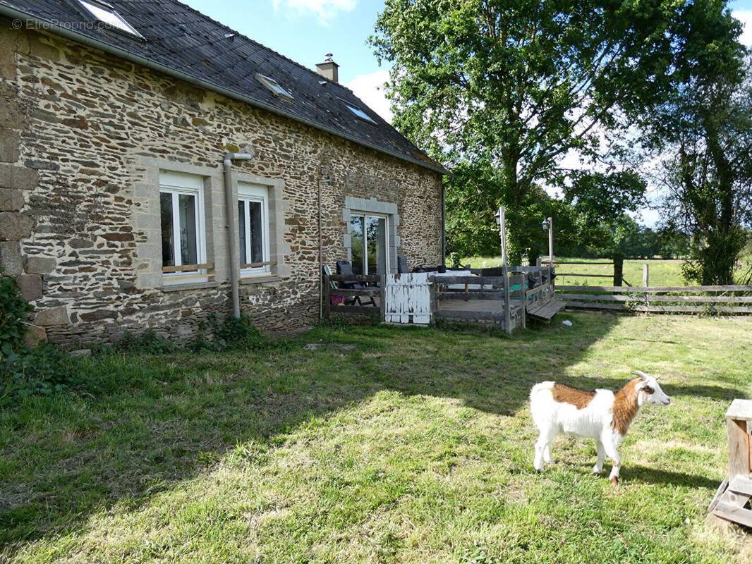 Maison à LASSAY-LES-CHATEAUX