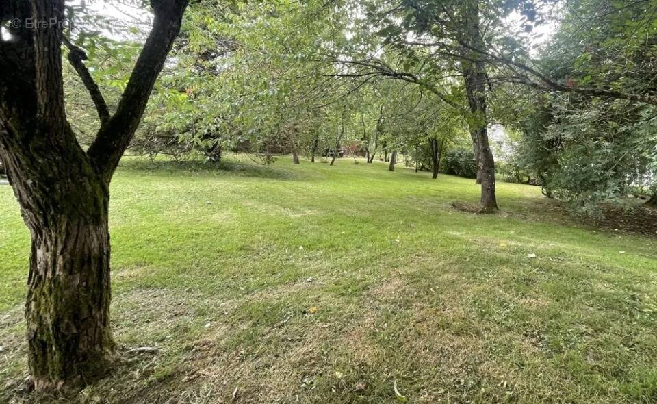 Terrain à LA FORET-LE-ROI