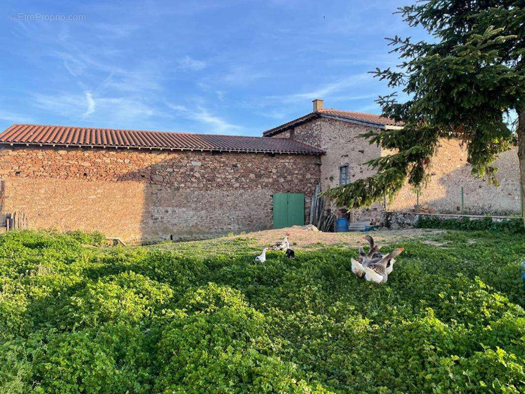 Maison forezienne 4 pièce(s) 133 m2 - photo 9