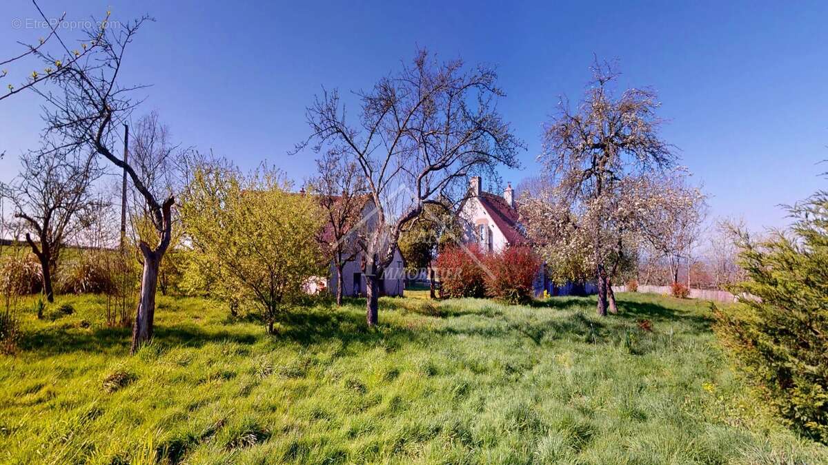 Maison à FRANCHESSE