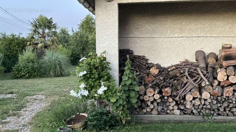 Charmante maison entièrement rénovée- Coup de cœur à Auzouville-sur-Ry - photo 18