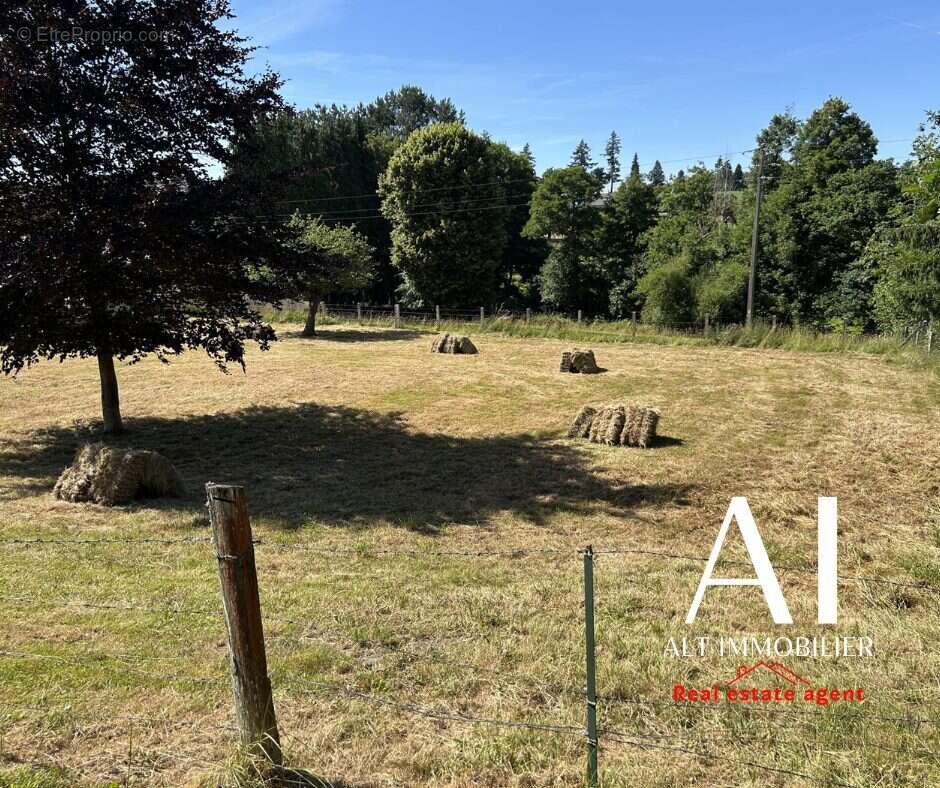 Terrain 3439 m² à Vire  - photo 4