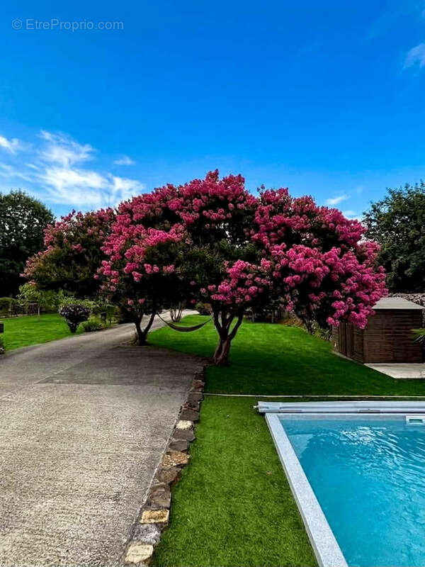 Maison de charme en pierre - Jardin arboré et piscine - 5 min d'Oloron ste Marie - photo 7