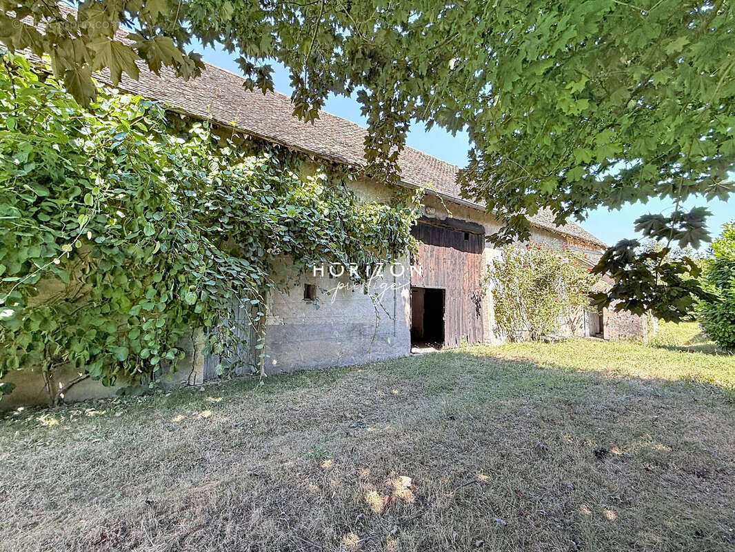 Maison 475 m² à Tournus  - photo 6