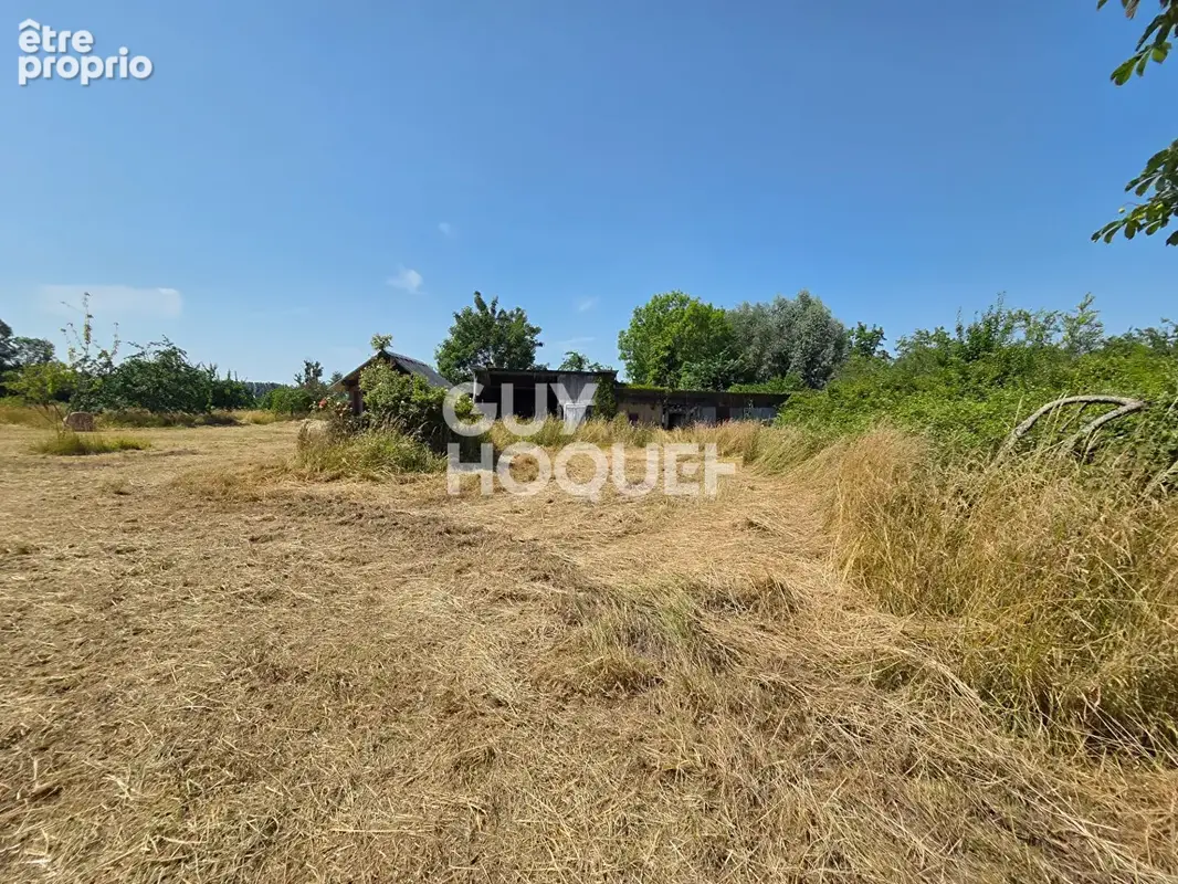 Terrain Heurteauville 7560 m2 - photo 5