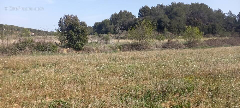 Terrain à QUARANTE