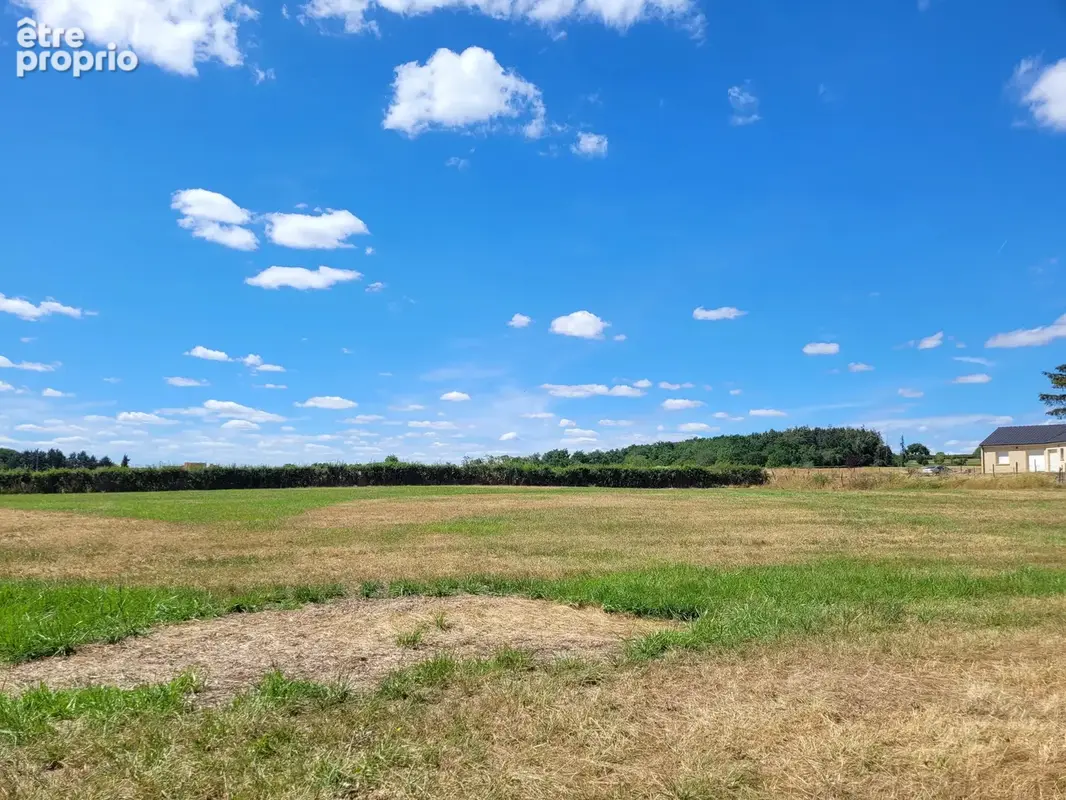 Terrain plat constructible de 3 500 m² à Chantelle - photo 8