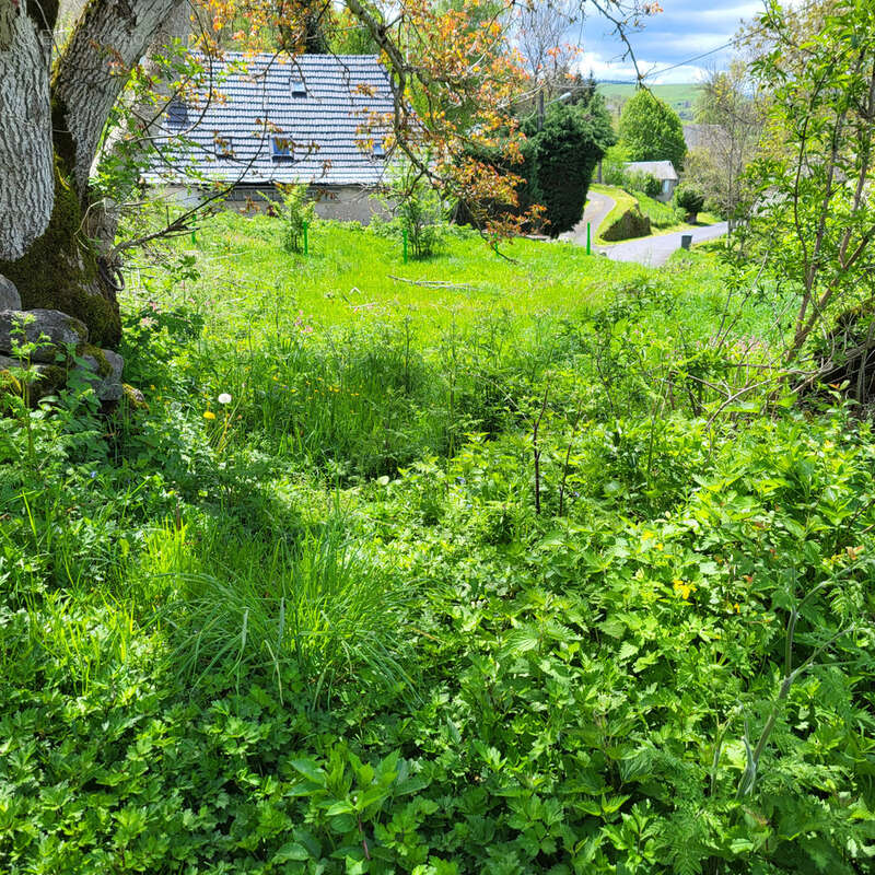 Maison à CHEYLADE