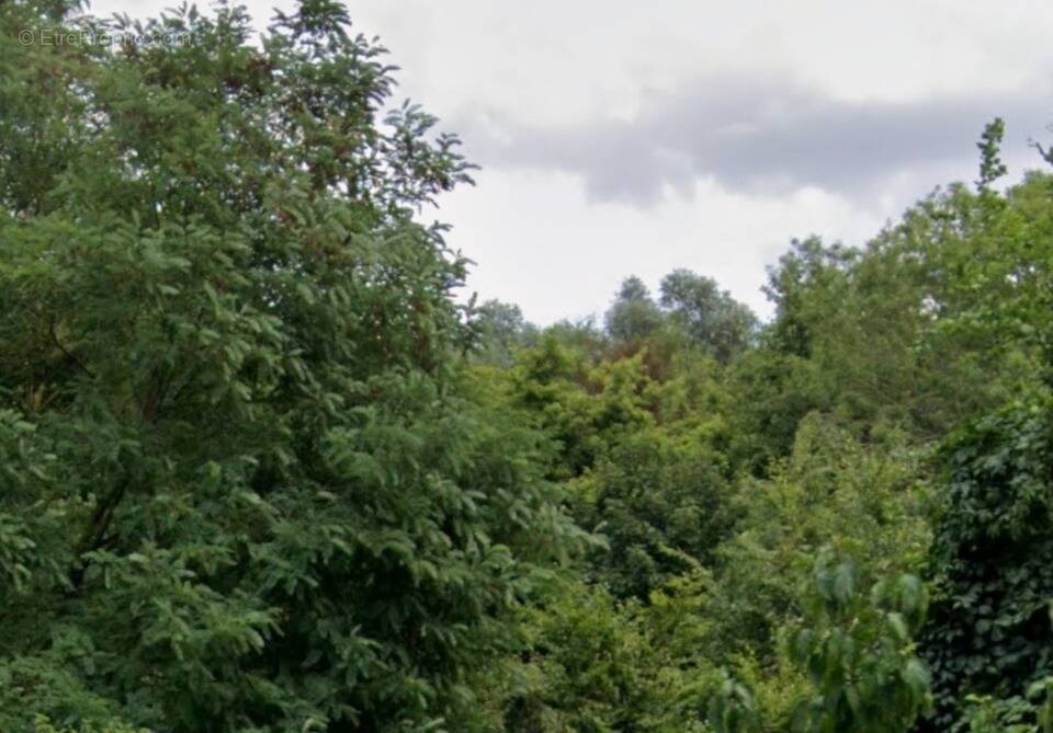 Terrain à COURCELLES-LES-LENS