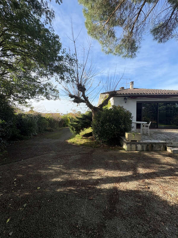 Maison à SAINT-VITE