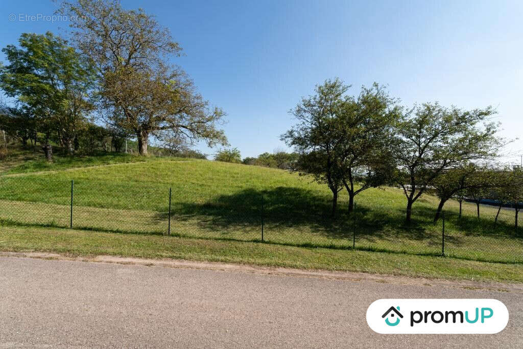 Terrain à VALHEY