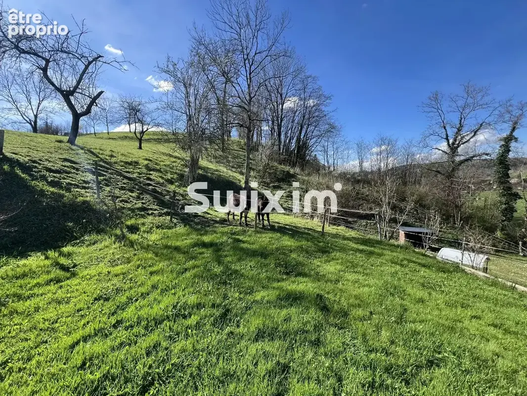 Maison 12 pièces 339 m² à vendre à Lons-Le-Saunier (39000) - photo 10