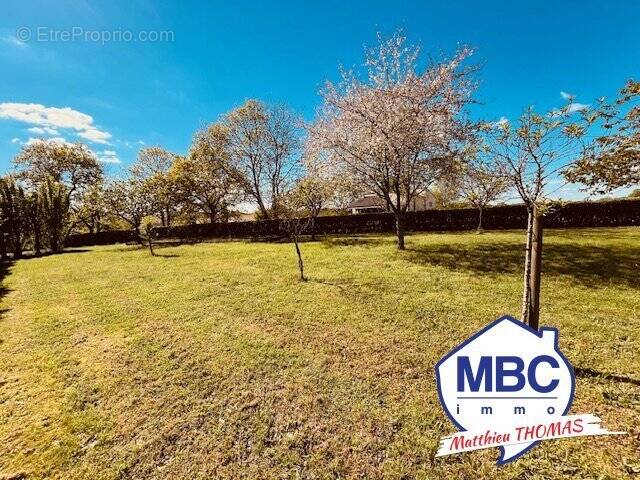 Terrain à LA CHAUSSAIRE