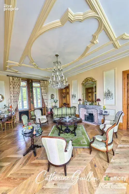 Maison 18 pièces 560 m² à vendre à Ingrandes (86220) - photo 4