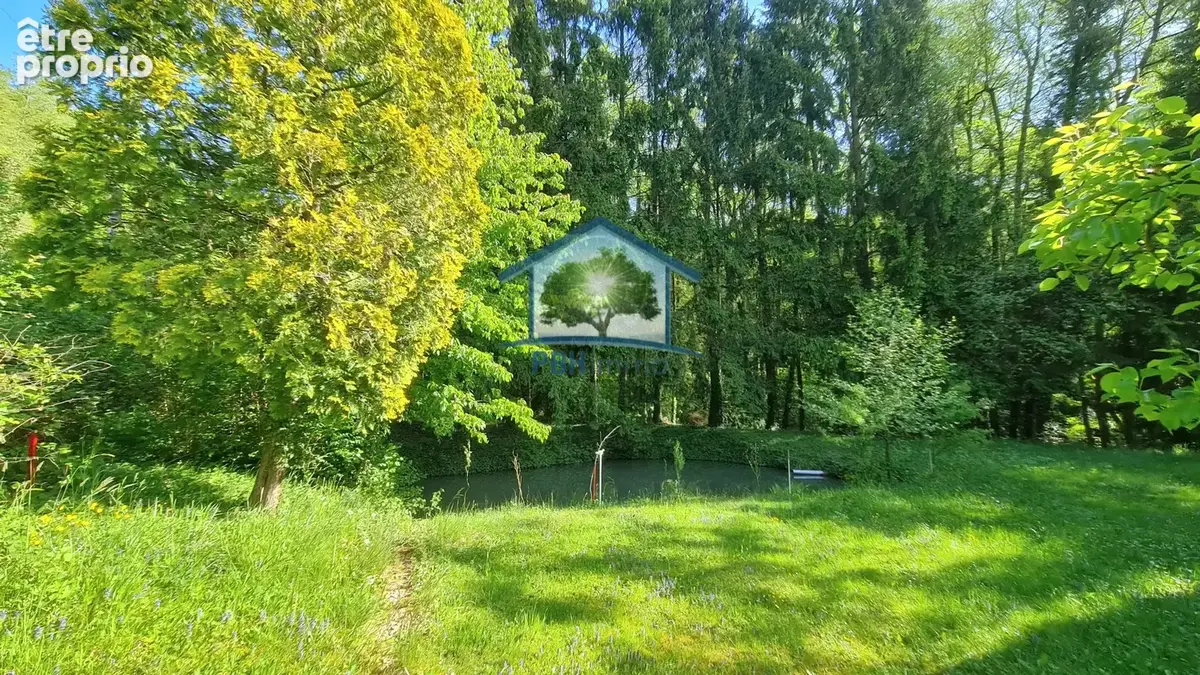 Mitschdorf - hangar + etang - photo 5