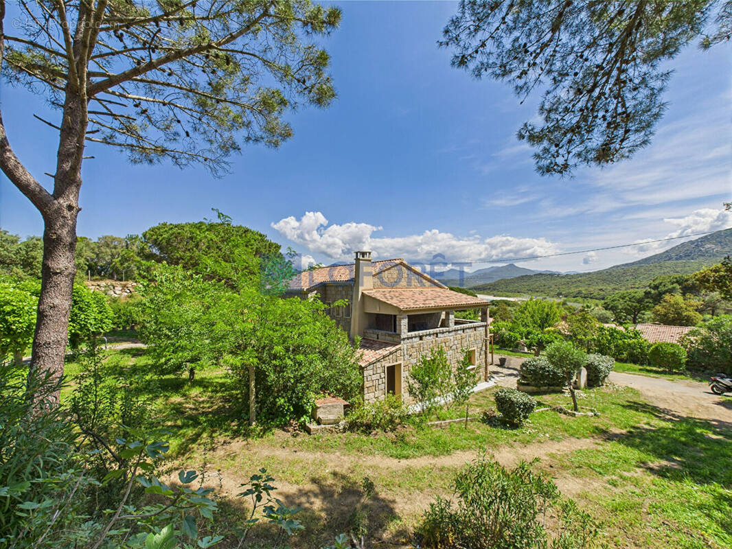 Maison à BELVEDERE-CAMPOMORO