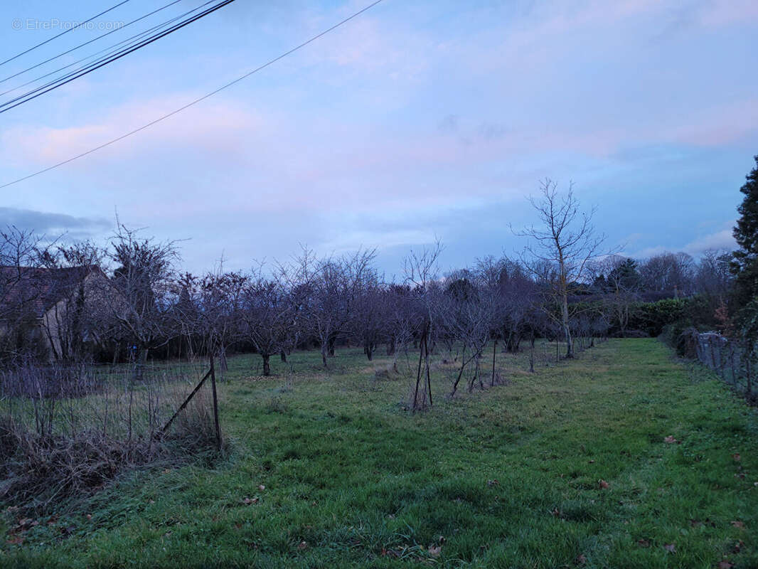 Terrain à LOUCHY-MONTFAND