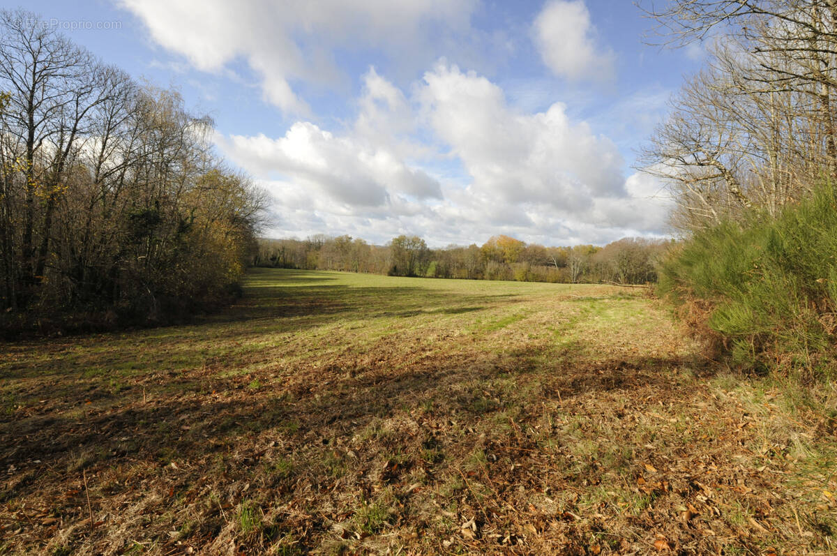 Terrain à VICQ-SUR-BREUILH