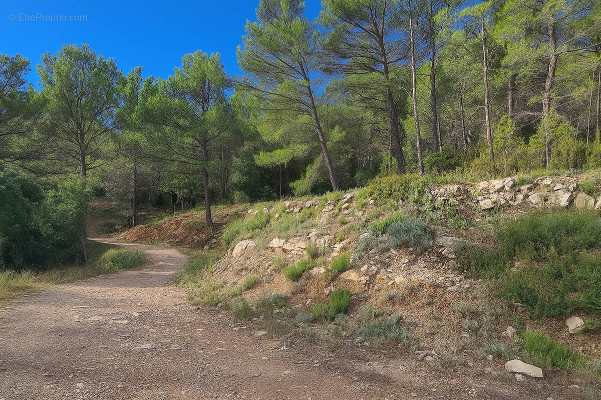 Terrain à SOLLIES-TOUCAS